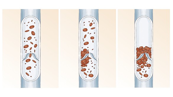 Pernas das dos anatomia vasos